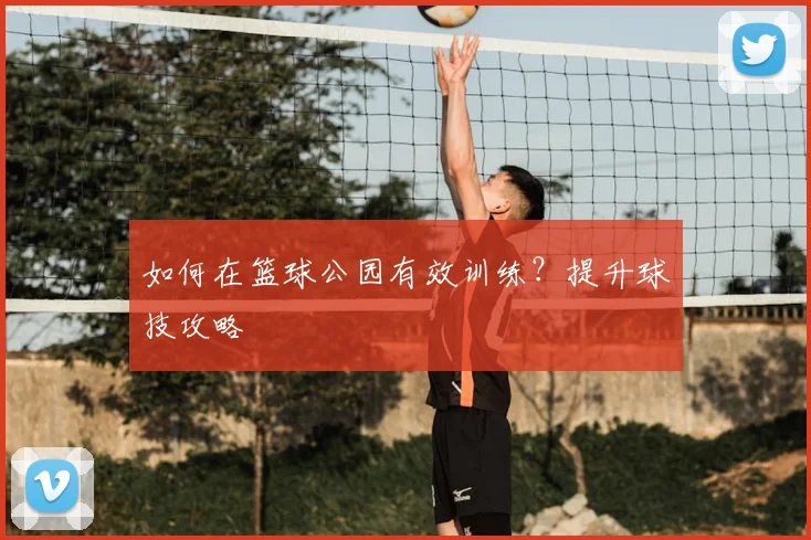如何在篮球公园有效训练？提升球技攻略